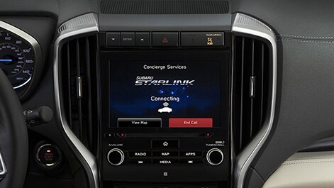 Conserjería STARLINK
